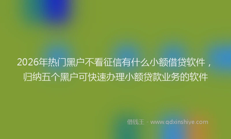 2026年热门黑户不看征信有什么小额借贷软件，归纳五个黑户可快速办理小额贷款业务的软件
