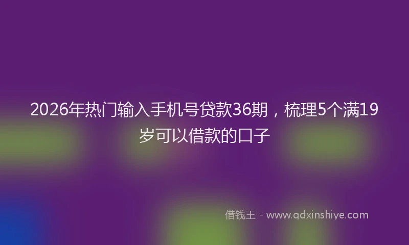 2026年热门输入手机号贷款36期，梳理5个满19岁可以借款的口子