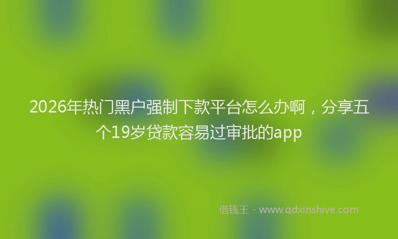 2026年热门黑户强制下款平台怎么办啊,分享五个19岁贷款容易过审批的app