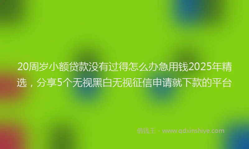 20周岁小额贷款没有过得怎么办急用钱2025年精选，分享5个无视黑白无视征信申请就下款的平台