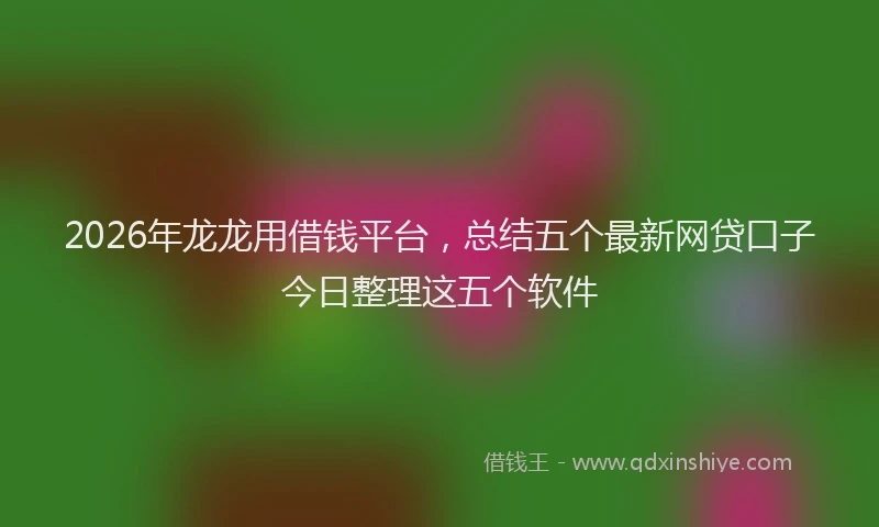 2026年龙龙用借钱平台，总结五个最新网贷口子今日整理这五个软件