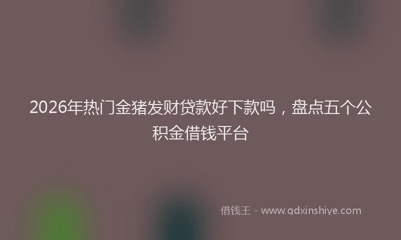 2026年热门金猪发财贷款好下款吗，盘点五个公积金借钱平台
