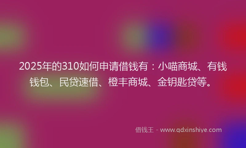 2025年的310如何申请借钱有：小喵商城、有钱钱包、民贷速借、橙丰商城、金钥匙贷等。