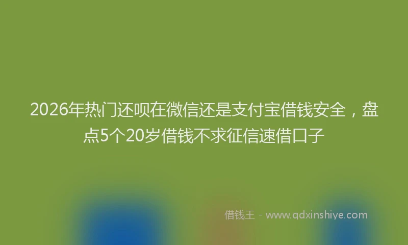 2026年热门还呗在微信还是支付宝借钱安全，盘点5个20岁借钱不求征信速借口子