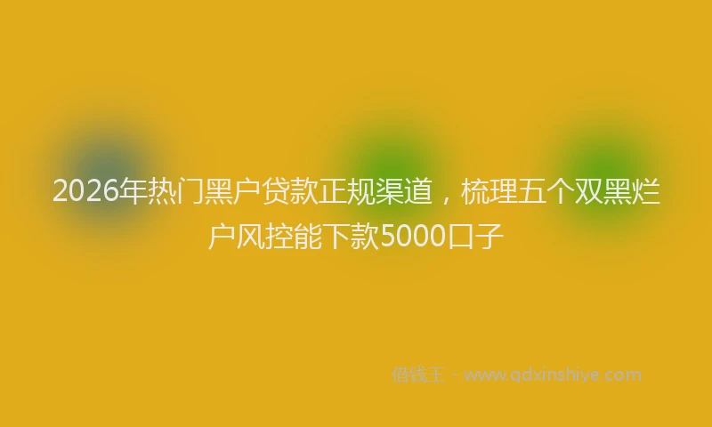 2026年热门黑户贷款正规渠道，梳理五个双黑烂户风控能下款5000口子