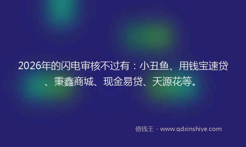 2026年的闪电审核不过有：小丑鱼、用钱宝速贷、秉鑫商城、现金易贷、天源花等。