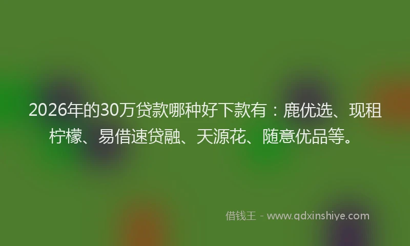 2026年的30万贷款哪种好下款有:鹿优选、现租柠檬、易借速贷融、天源花、随意优品等。