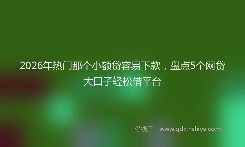 2026年热门那个小额贷容易下款，盘点5个网贷大口子轻松借平台