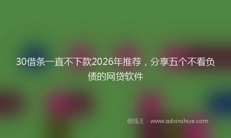 30借条一直不下款2026年推荐，分享五个不看负债的网贷软件