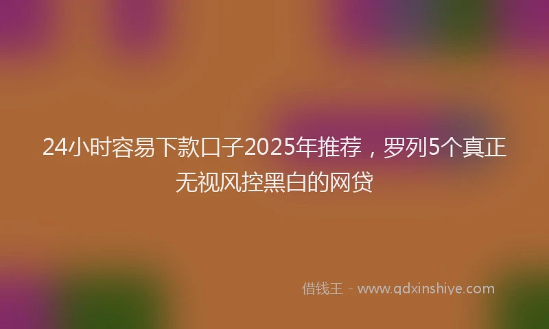 24小时容易下款口子2025年推荐,罗列5个真正无视风控黑白的网贷