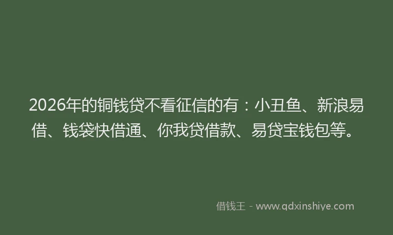 2026年的铜钱贷不看征信的有：小丑鱼、新浪易借、钱袋快借通、你我贷借款、易贷宝钱包等。