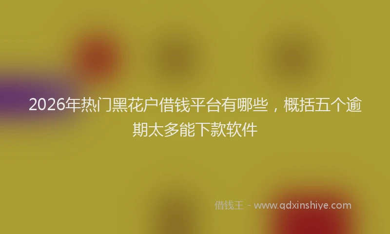 2026年热门黑花户借钱平台有哪些，概括五个逾期太多能下款软件