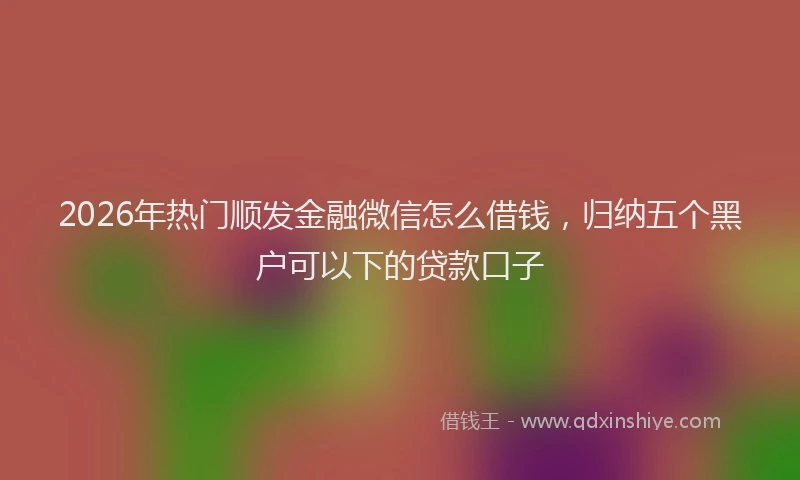 2026年热门顺发金融微信怎么借钱，归纳五个黑户可以下的贷款口子