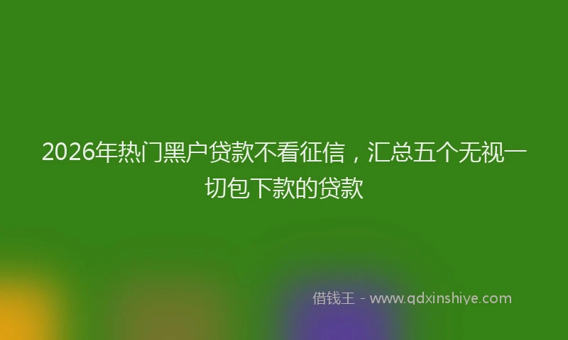 2026年热门黑户贷款不看征信，汇总五个无视一切包下款的贷款