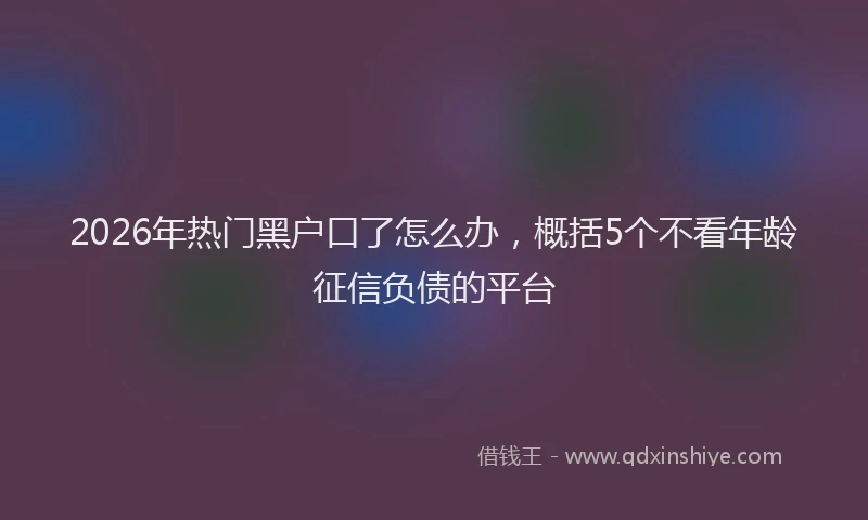 2026年热门黑户口了怎么办，概括5个不看年龄征信负债的平台