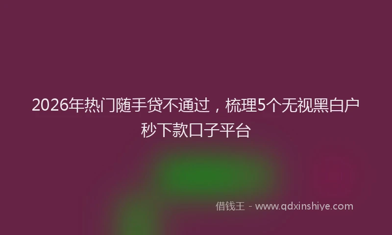 2026年热门随手贷不通过,梳理5个无视黑白户秒下款口子平台