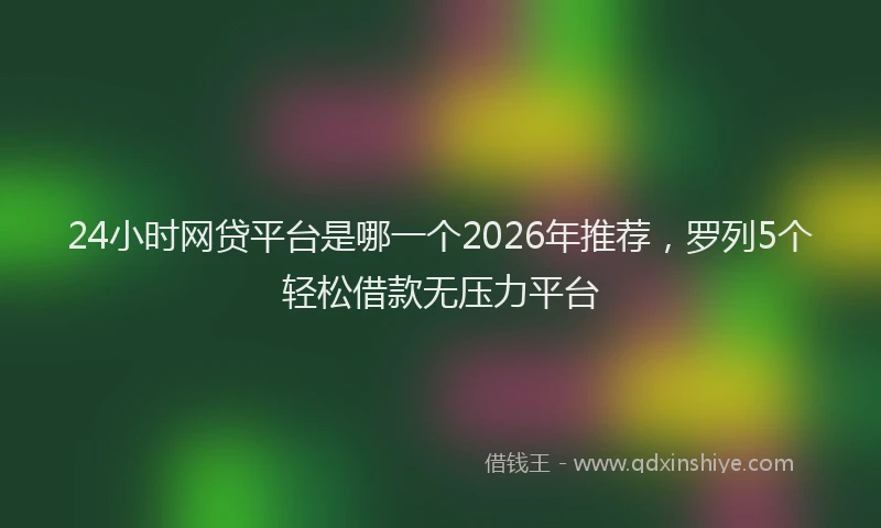 24小时网贷平台是哪一个2026年推荐，罗列5个轻松借款无压力平台