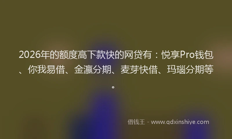 2026年的额度高下款快的网贷有:悦享Pro钱包、你我易借、金瀛分期、麦芽快借、玛瑙分期等。