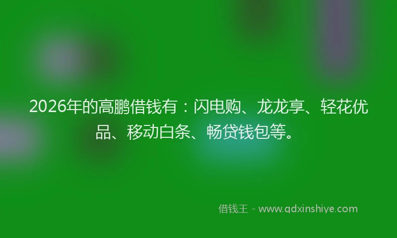 2026年的高鹏借钱有：闪电购、龙龙享、轻花优品、移动白条、畅贷钱包等。