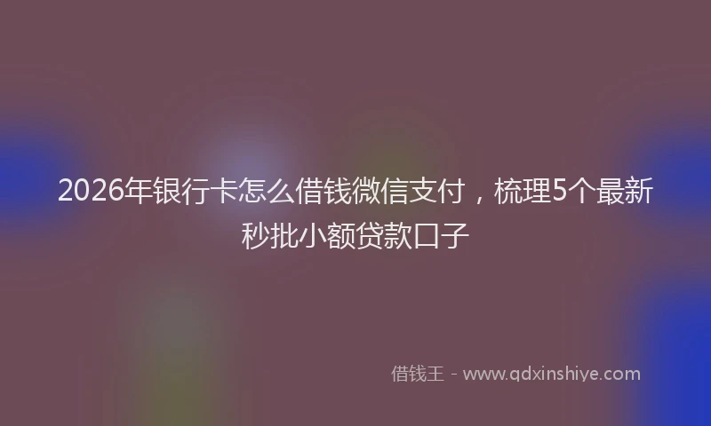 2026年银行卡怎么借钱微信支付，梳理5个最新秒批小额贷款口子