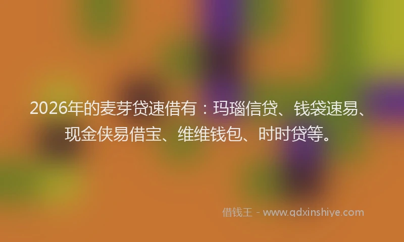 2026年的麦芽贷速借有：玛瑙信贷、钱袋速易、现金侠易借宝、维维钱包、时时贷等。