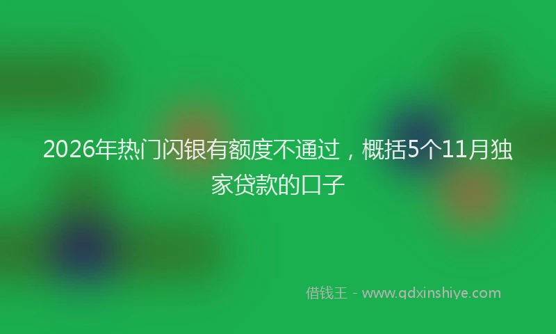 2026年热门闪银有额度不通过，概括5个11月独家贷款的口子