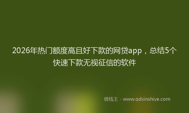 2026年热门额度高且好下款的网贷app，总结5个快速下款无视征信的软件