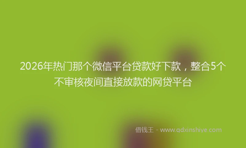 2026年热门那个微信平台贷款好下款,整合5个不审核夜间直接放款的网贷平台