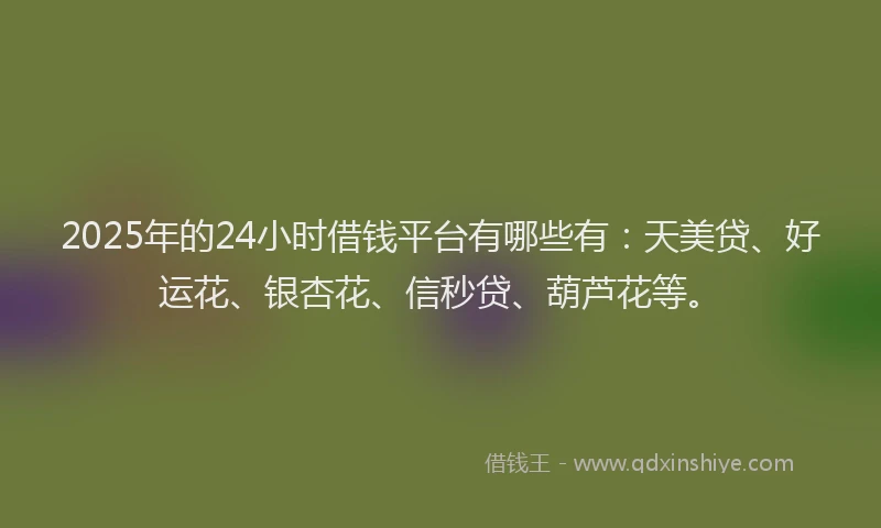 2025年的24小时借钱平台有哪些有：天美贷、好运花、银杏花、信秒贷、葫芦花等。