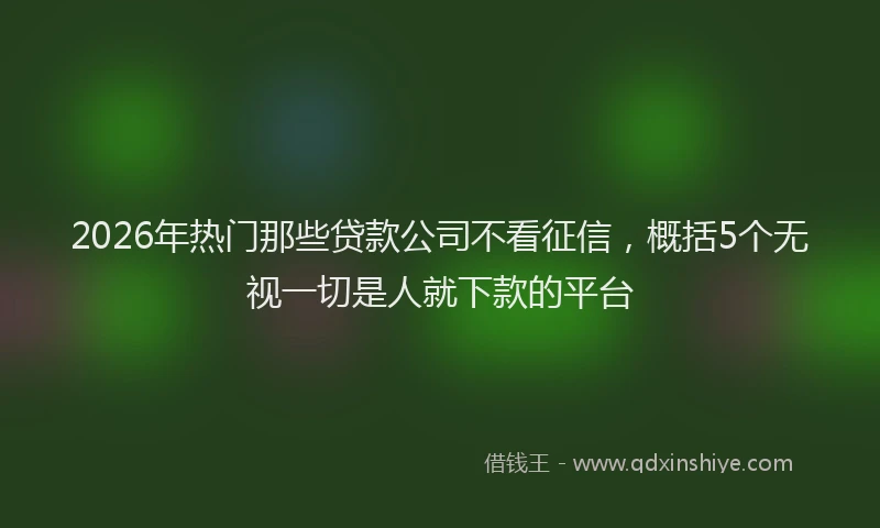 2026年热门那些贷款公司不看征信，概括5个无视一切是人就下款的平台