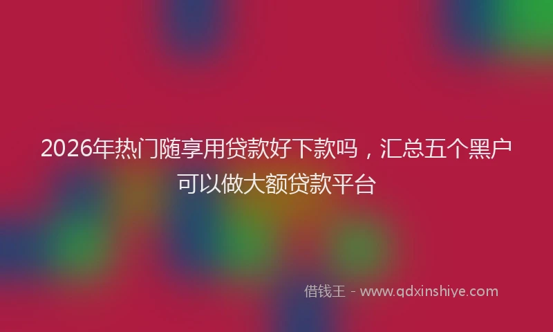 2026年热门随享用贷款好下款吗，汇总五个黑户可以做大额贷款平台