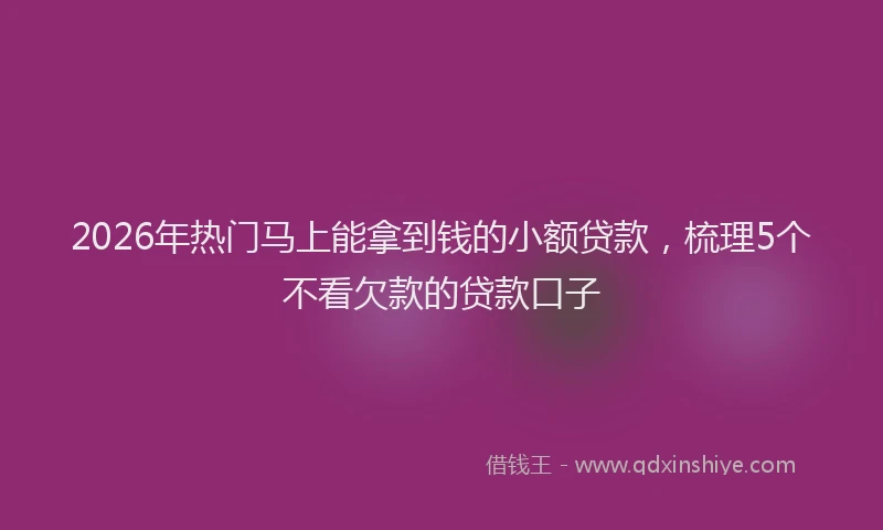 2026年热门马上能拿到钱的小额贷款，梳理5个不看欠款的贷款口子