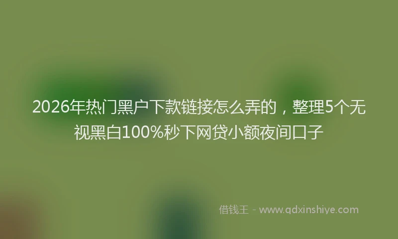 2026年热门黑户下款链接怎么弄的，整理5个无视黑白100%秒下网贷小额夜间口子