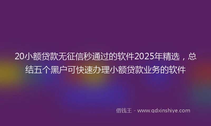 20小额贷款无征信秒通过的软件2025年精选，总结五个黑户可快速办理小额贷款业务的软件
