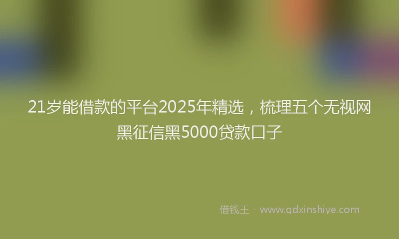 21岁能借款的平台2025年精选,梳理五个无视网黑征信黑5000贷款口子