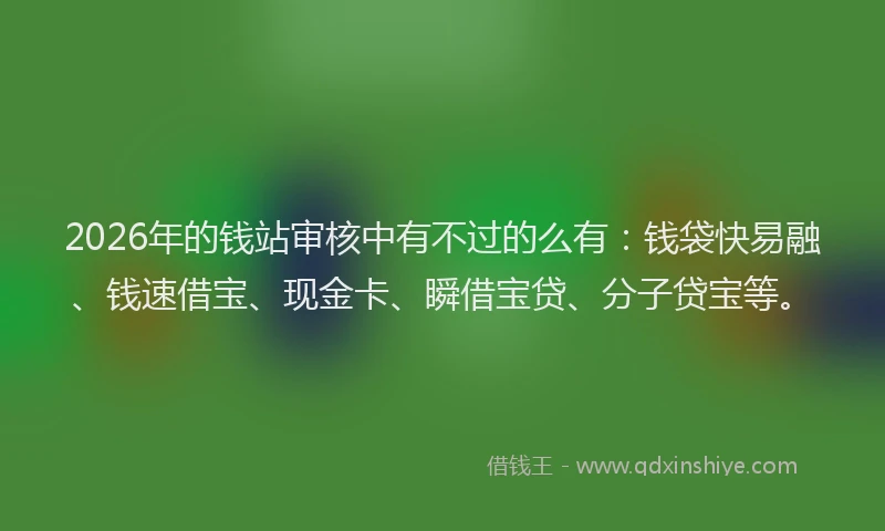 2026年的钱站审核中有不过的么有：钱袋快易融、钱速借宝、现金卡、瞬借宝贷、分子贷宝等。