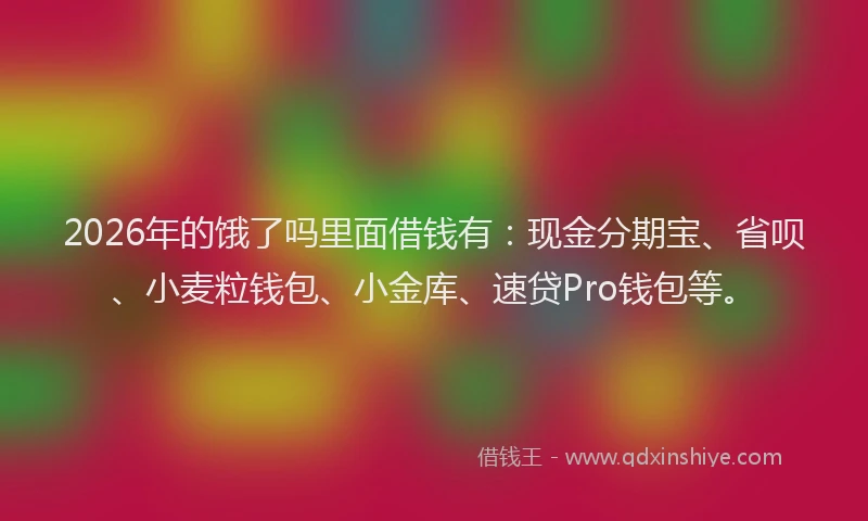 2026年的饿了吗里面借钱有:现金分期宝、省呗、小麦粒钱包、小金库、速贷Pro钱包等。