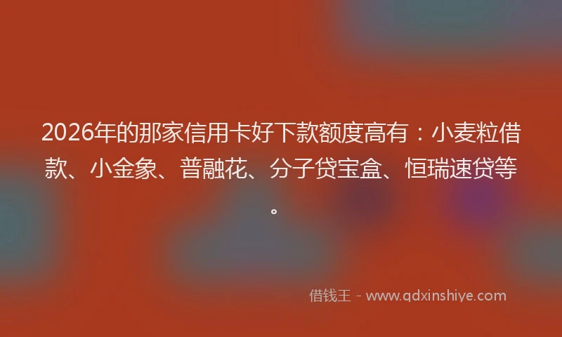 2026年的那家信用卡好下款额度高有：小麦粒借款、小金象、普融花、分子贷宝盒、恒瑞速贷等。