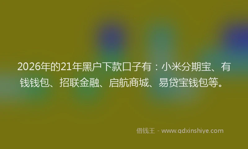 2026年的21年黑户下款口子有：小米分期宝、有钱钱包、招联金融、启航商城、易贷宝钱包等。