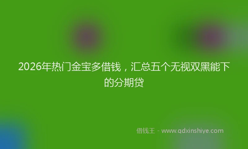 2026年热门金宝多借钱，汇总五个无视双黑能下的分期贷
