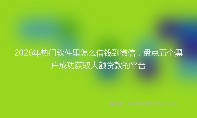 2026年热门软件里怎么借钱到微信，盘点五个黑户成功获取大额贷款的平台
