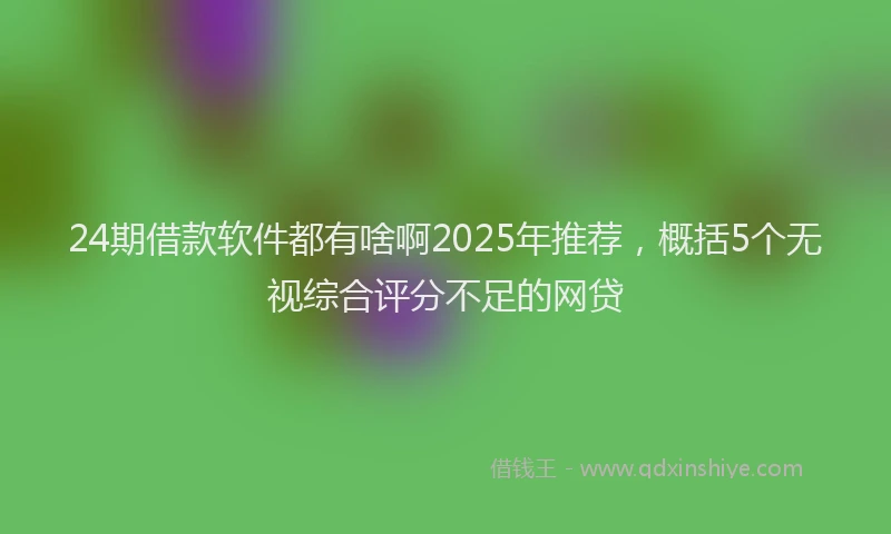 24期借款软件都有啥啊2025年推荐,概括5个无视综合评分不足的网贷