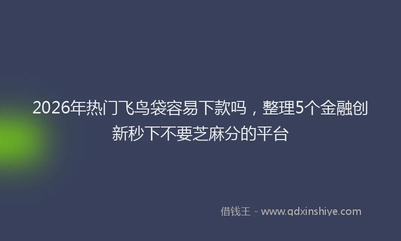 2026年热门飞鸟袋容易下款吗，整理5个金融创新秒下不要芝麻分的平台