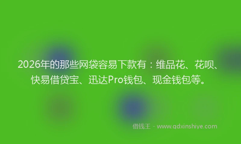 2026年的那些网袋容易下款有：维品花、花呗、快易借贷宝、迅达Pro钱包、现金钱包等。