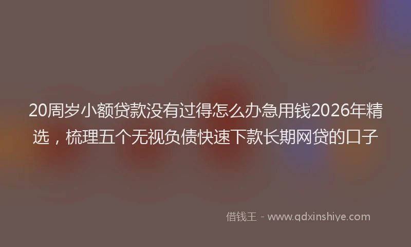 20周岁小额贷款没有过得怎么办急用钱2026年精选，梳理五个无视负债快速下款长期网贷的口子
