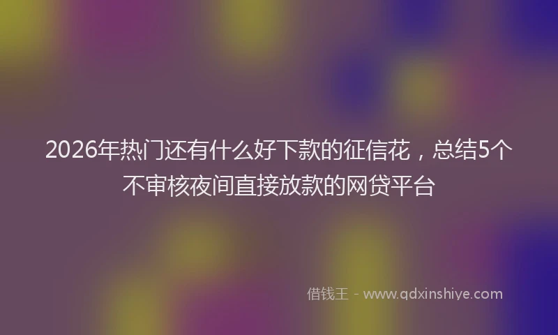 2026年热门还有什么好下款的征信花，总结5个不审核夜间直接放款的网贷平台