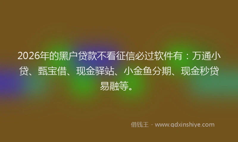 2026年的黑户贷款不看征信必过软件有：万通小贷、甄宝借、现金驿站、小金鱼分期、现金秒贷易融等。