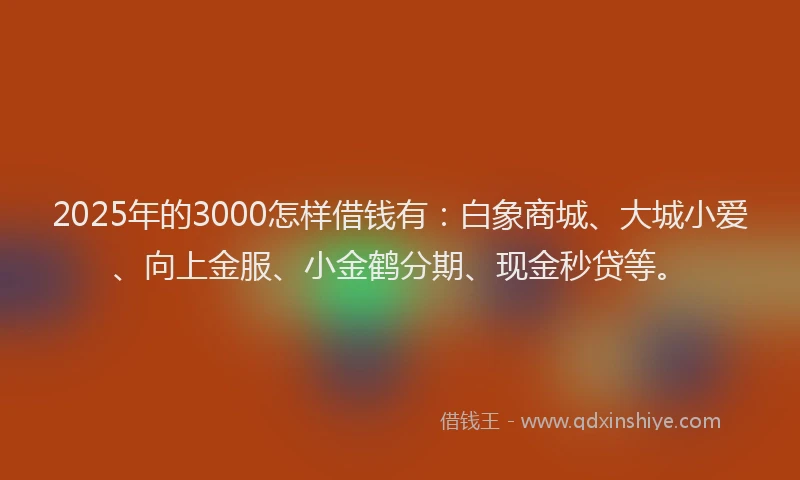 2025年的3000怎样借钱有:白象商城、大城小爱、向上金服、小金鹤分期、现金秒贷等。