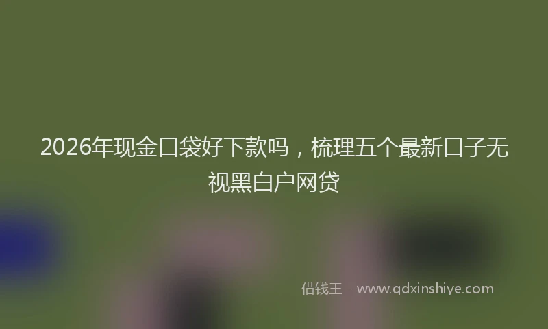 2026年现金口袋好下款吗，梳理五个最新口子无视黑白户网贷