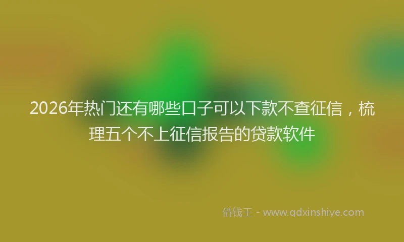2026年热门还有哪些口子可以下款不查征信，梳理五个不上征信报告的贷款软件